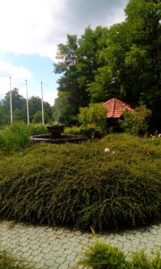 Taman di luar Planinska kuća