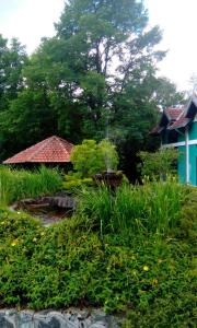 Taman di luar Planinska kuća