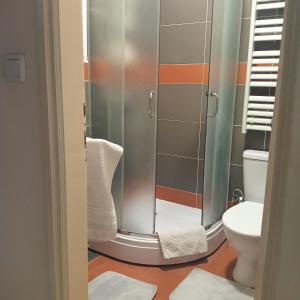 a bathroom with a shower and a toilet at Vila Eni in Smederevo +13 photos