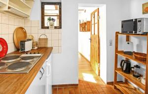 Kuchyň nebo kuchyňský kout v ubytování Ferienwohnung Röbelmüritz + 11 fotografií
