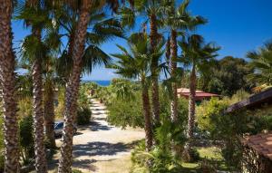 Příroda nedaleko prázdninového domu