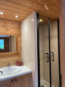 a bathroom with a shower and a sink at Vieille Bergerie 5 in Le Fernuy