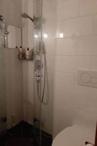 a bathroom with a glass shower with a toilet at Petit Combin-Modern 2 Bed, Close to the lift in Le Châble