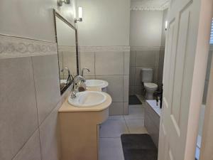 a bathroom with a sink and a mirror and a toilet at Chandané Guesthouse in Thabazimbi