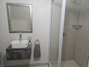 a bathroom with a shower and a sink and a mirror at Chandané Guesthouse in Thabazimbi
