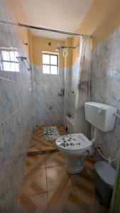 a bathroom with a toilet and a shower at The Loch in Naivasha +4 photos
