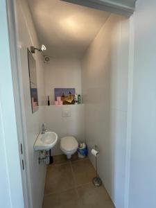 a small bathroom with a toilet and a sink at Appartement Rez de chaussée in La Celle-sous-Gouzon