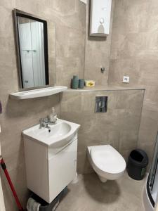a bathroom with a toilet and a sink and a mirror at 3 Zimmer Ferienwohnung in Schweinfurt Bergl in Schweinfurt