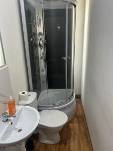a bathroom with a shower and a toilet and a sink at Rooms v samém centru Ostravy in Ostrava