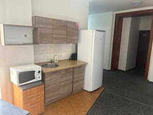 a small kitchen with a microwave and a refrigerator at Rooms v samém centru Ostravy in Ostrava