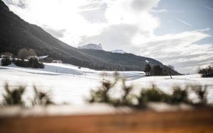 カステルロットにあるAlpine Boutique Villa Gabriela - Adults Onlyの山を背景にした雪田