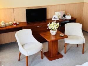 TV a/nebo společenská místnost v ubytování Plaza Hotel Gyula