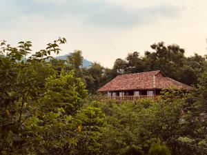 Lương SơnにあるMK Homeの森の中の家