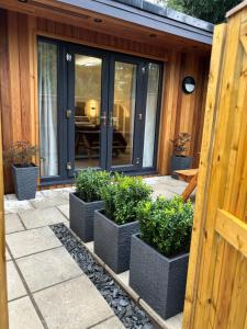 MiltonにあるStylish Garden pod lodgesの鉢植えの集団