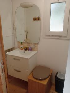 une salle de bain avec un lavabo et des toilettes avec un miroir dans l'établissement La tiny house au cœur de la nature, à Saint-Roch