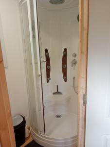 une douche avec une porte vitrée dans une salle de bain dans l'établissement La tiny house au cœur de la nature, à Saint-Roch