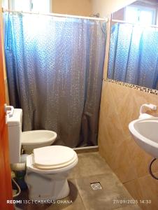 a bathroom with a toilet and a sink and a shower at Ohana in Cordoba