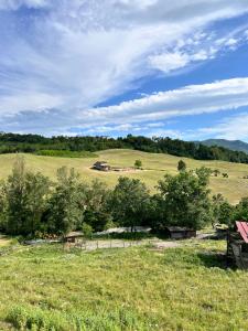 a view of a field with a bench and trees at Nuovo Agriturismo Villa Enrichetta in Bettola +9 photos