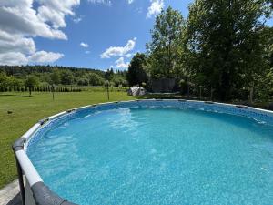 a large swimming pool in a yard with a field at U Małgorzaty in Wojtkowa