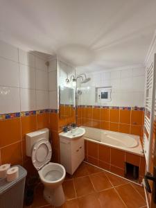 a bathroom with a toilet and a sink and a tub at 2 rooms apartment Craiova-Craiovita Noua in Craiova