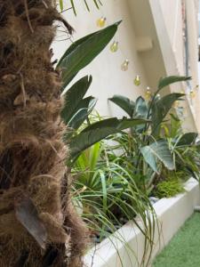 Photo de la galerie de l'établissement Casa Antica, à Savone