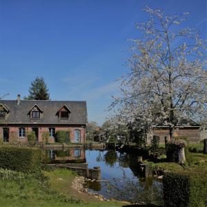a house next to a river in a yard at Gite Caillebourg Normandie in Saint-Martin-aux-Arbres