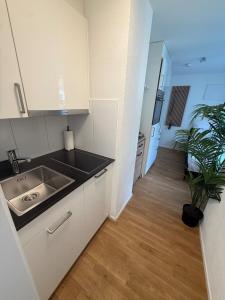 a kitchen with white cabinets and a sink and a plant at M&S Apartments - St Gallen City - 5 min Bahnhof in St. Gallen