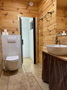 a bathroom with a white toilet and a sink at Ackermannia in Laskowice +104 photos
