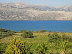 Gallery image of Kolona Apartments in Lixouri +41 photos