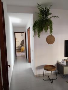 a hallway with a plant hanging from a wall at Hawaii house in Puerto del Rosario