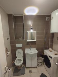 a small bathroom with a toilet and a sink at Studio - Bee Happy in Sarajevo