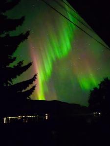 Příroda nedaleko prázdninového domu