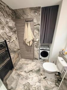 a bathroom with a toilet and a shower at Charmant appartement, 2 chambres au bord des quais in Millau