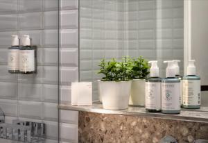 a shelf with bottles of soap and a plant at Hotel Mucha in Prague +42 photos