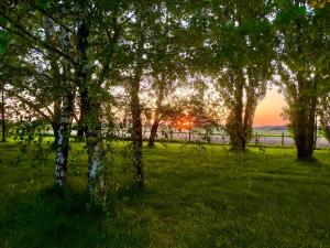 Naturlandskabet i nærheden af feriehuset