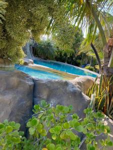 福廷Chalé Jacuzzi的有树木和岩石的度假村里的游泳池