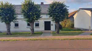 a white house with two trees in front of it at Entspanntes Wohnen Deibow in Deibow