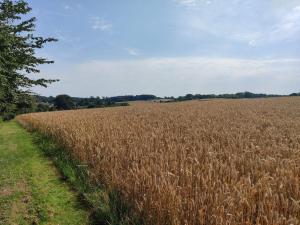 Fotografie z fotogalerie ubytování Well-maintained holiday home in Faborg v destinaci Nabbe