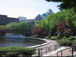 a park with a pond and a boat in the water at Luxury 2BR Apartment with Pool, Balcony & Parking in Cambridge