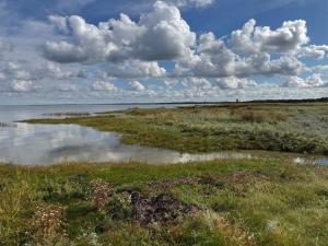Imagen de la galería de 10 person holiday home in Ørsted, en Ørsted