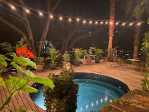 a patio with a pool and potted plants and lights at Pegaso Ranch in San Miguel de Allende