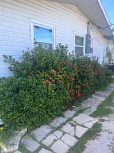 Billede fra billedgalleriet på Sarasota suites i Sarasota + 17 billeder