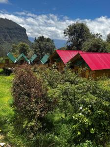 a house with a red roof in a field at Cabañas del bosque - La casa en la piedra in Choachí