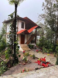 een klein huisje midden in een bos bij Luli Wasi in Miraflores