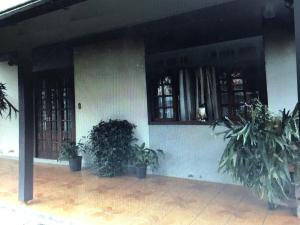 a building with potted plants and a cat sitting in a window at Cantinho luiza in Blumenau