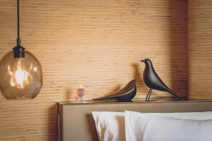 Fotografie z fotogalerie ubytování Hotel Indigo Anji v destinaci An-ťi + 78 fotografií