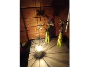 Gallery image of Finnish Chalet in Gramsbergen +33 photos