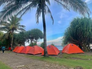 a row of orange tents sitting next to a palm tree at Camping Keluarga pantai madasari in Madasari