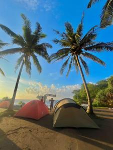 two tents on the beach with palm trees at Dating camp pantai madasari in Madasari