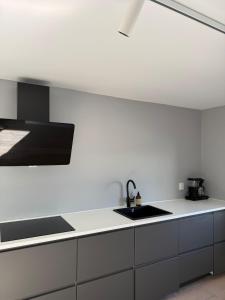 Kuchyň nebo kuchyňský kout v ubytování Downtown 2-bedroom apartment + 8 fotografií